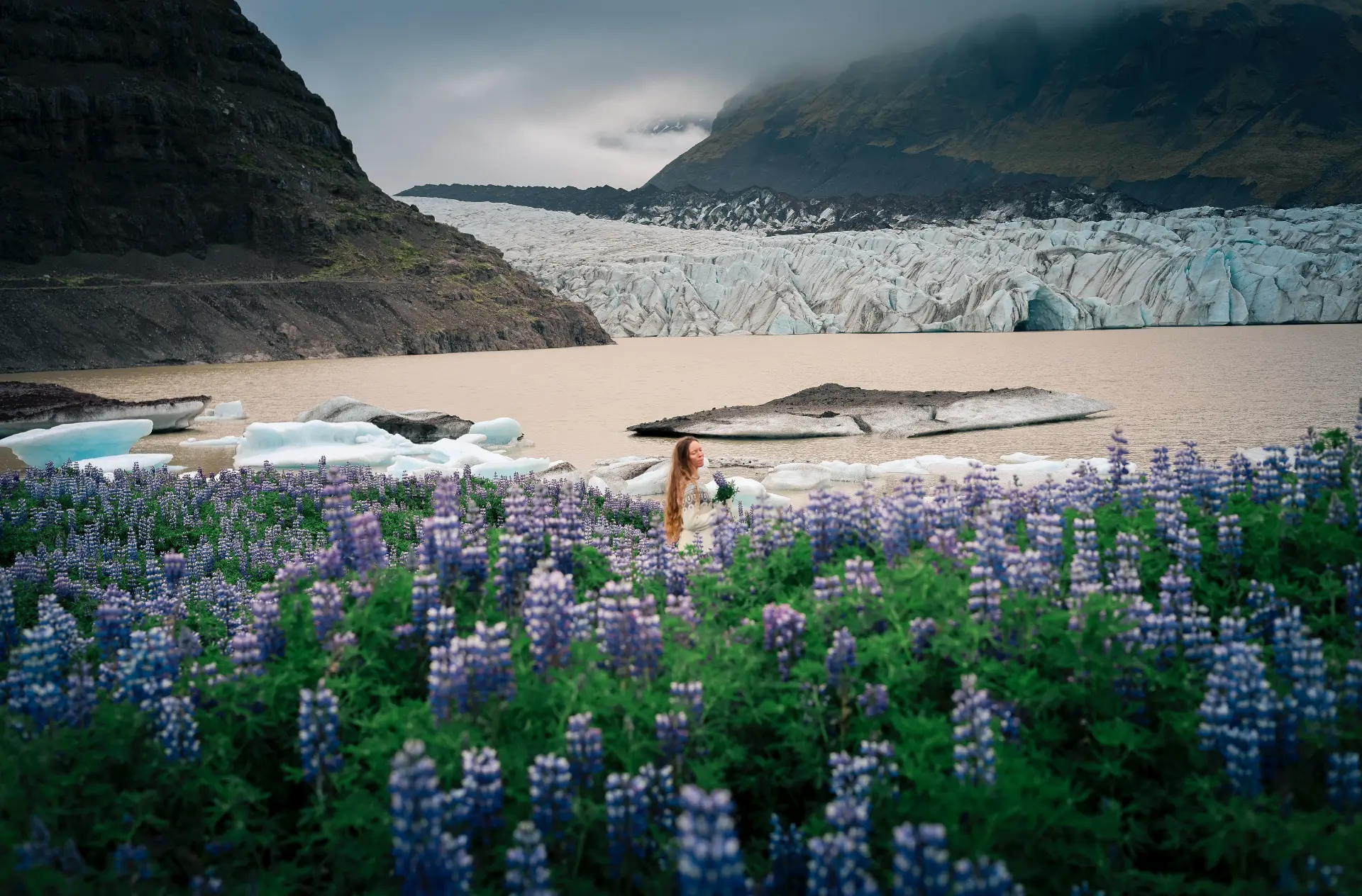 Woman among lupines beside a glacier lagoon