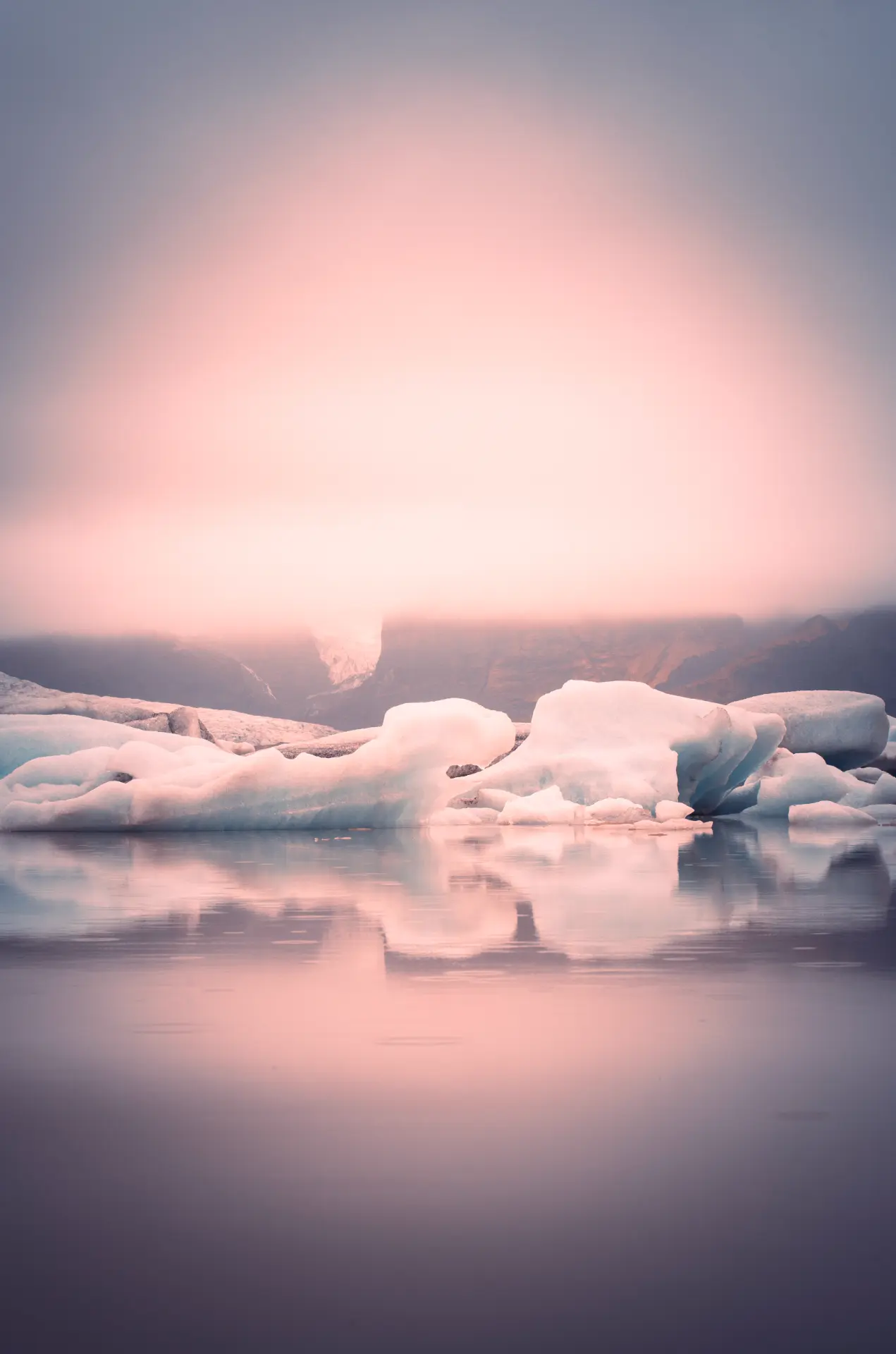 Icebergs under a pink sunrise sky