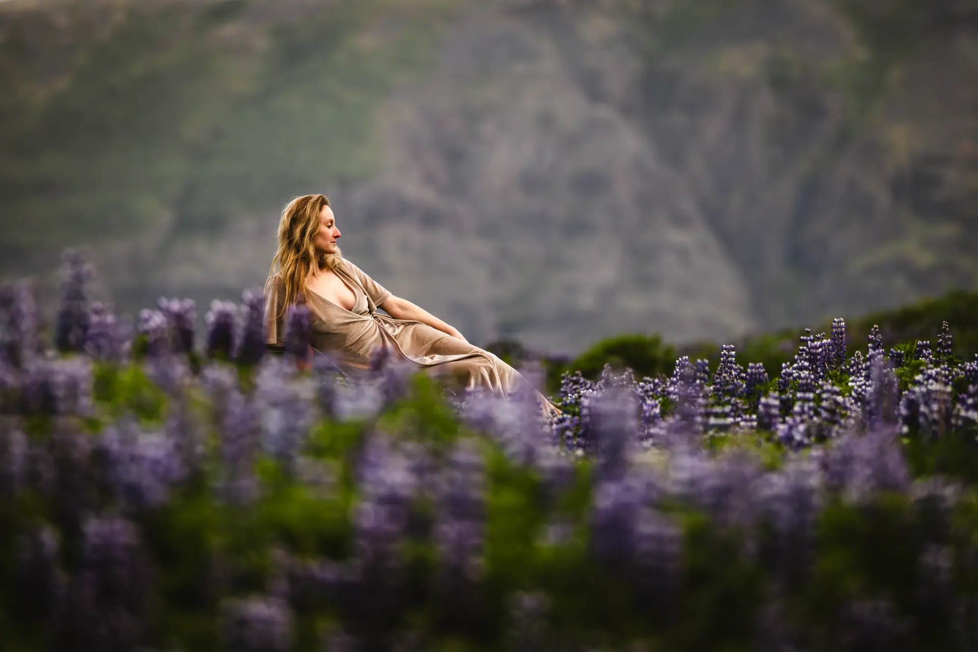 Woman in a champagne dress reclining in a field of lupines