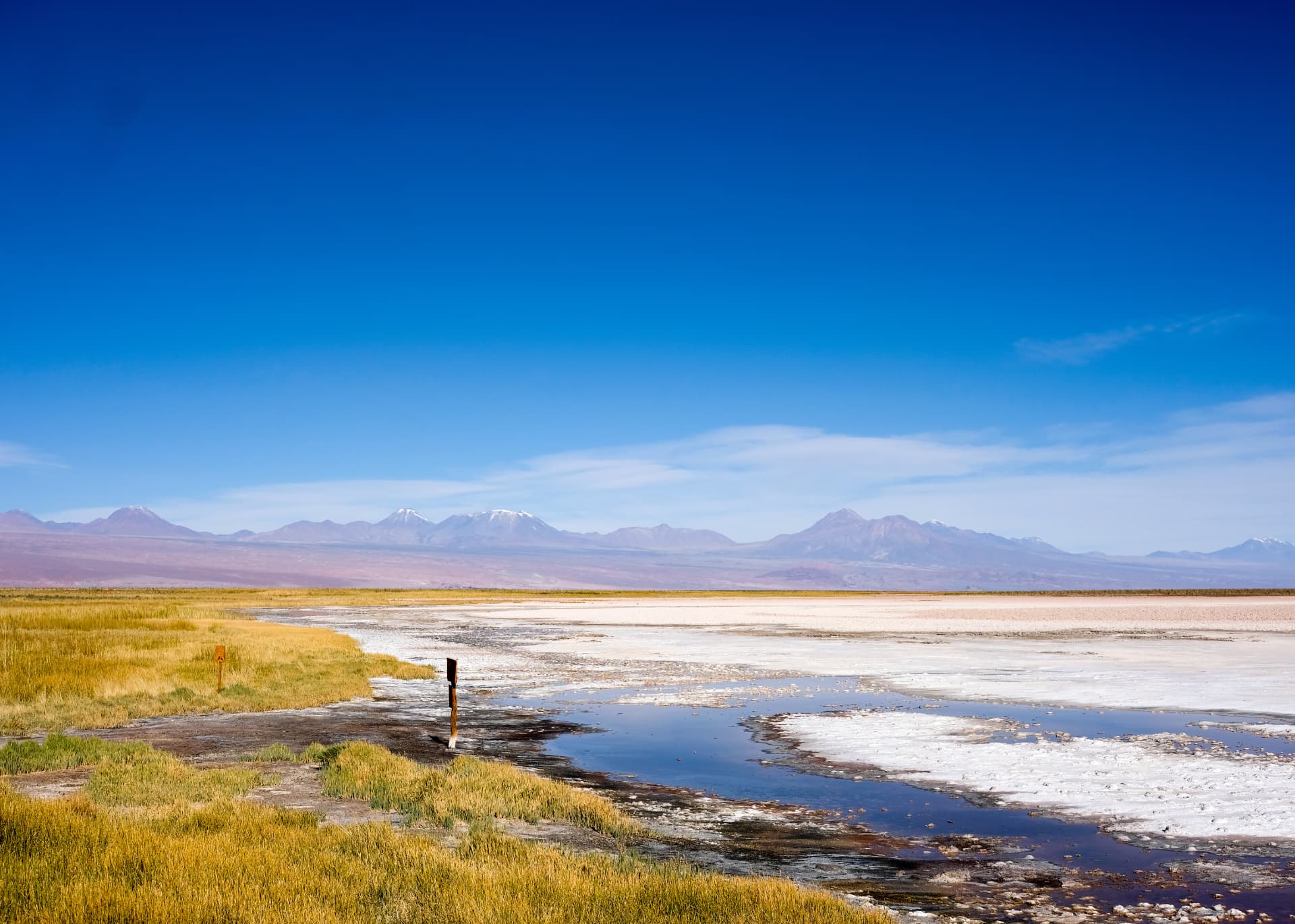 Salt flats and grasslands beneath the volcanoes of the Atacama desert