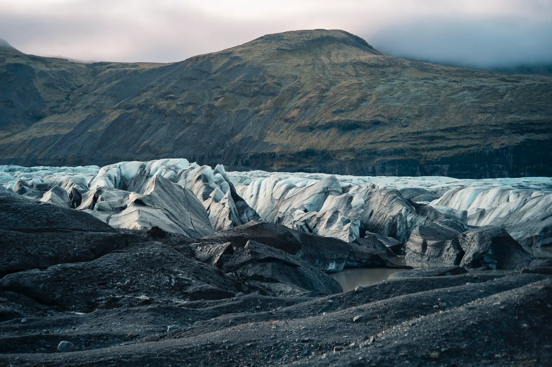 Glacier tongue below a mossy mountain