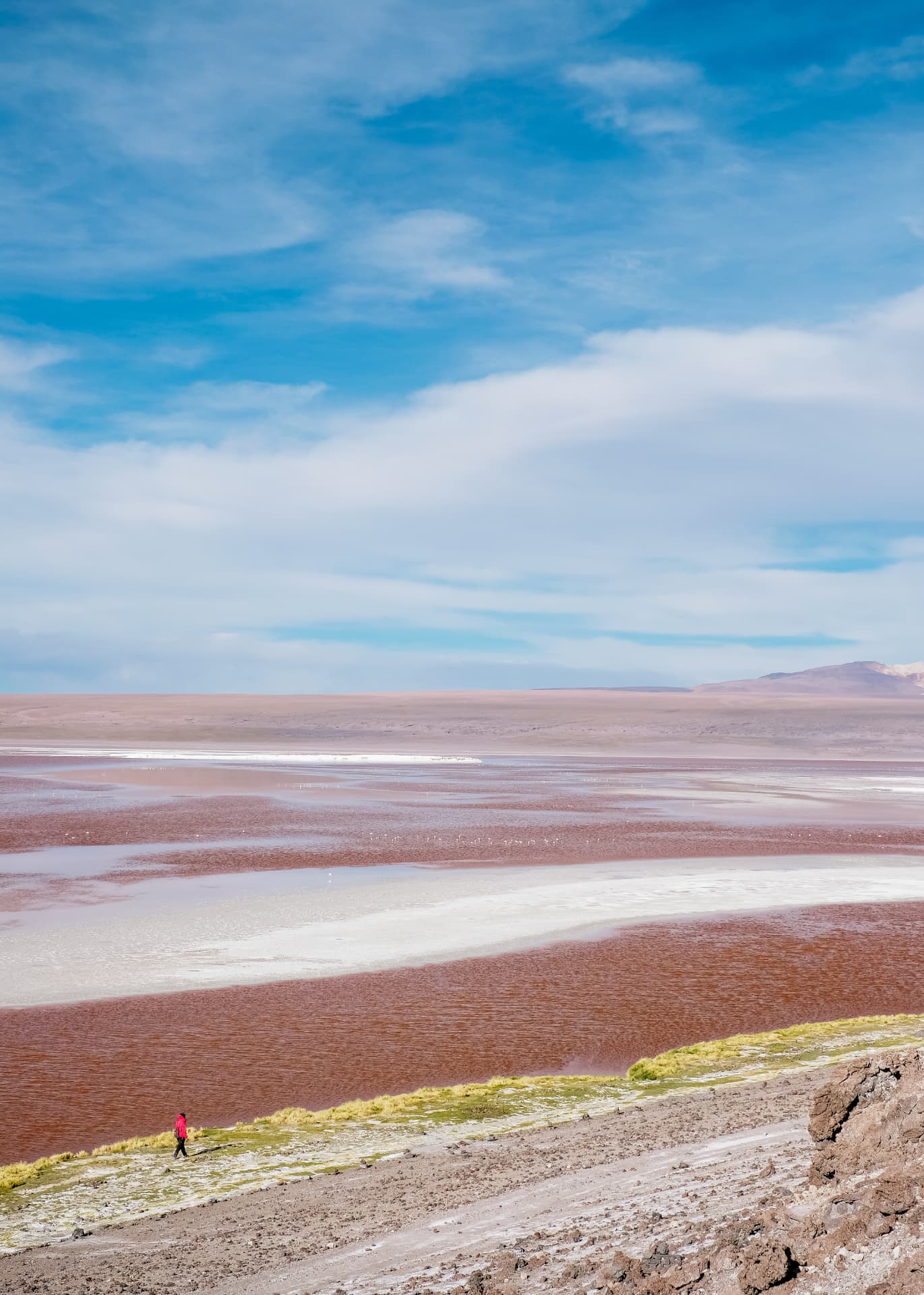 Lone figure in red walking the shore of Laguna Colorada, Bolivia
