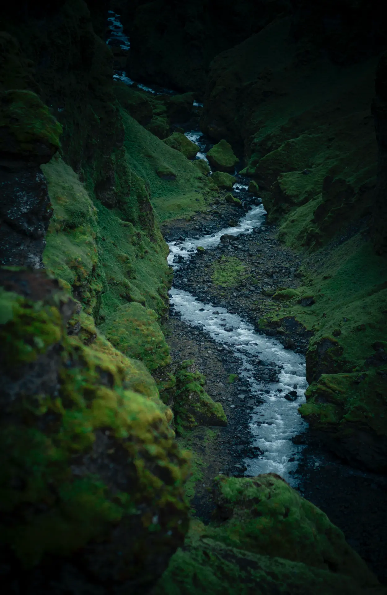 River running through a mossy green canyon