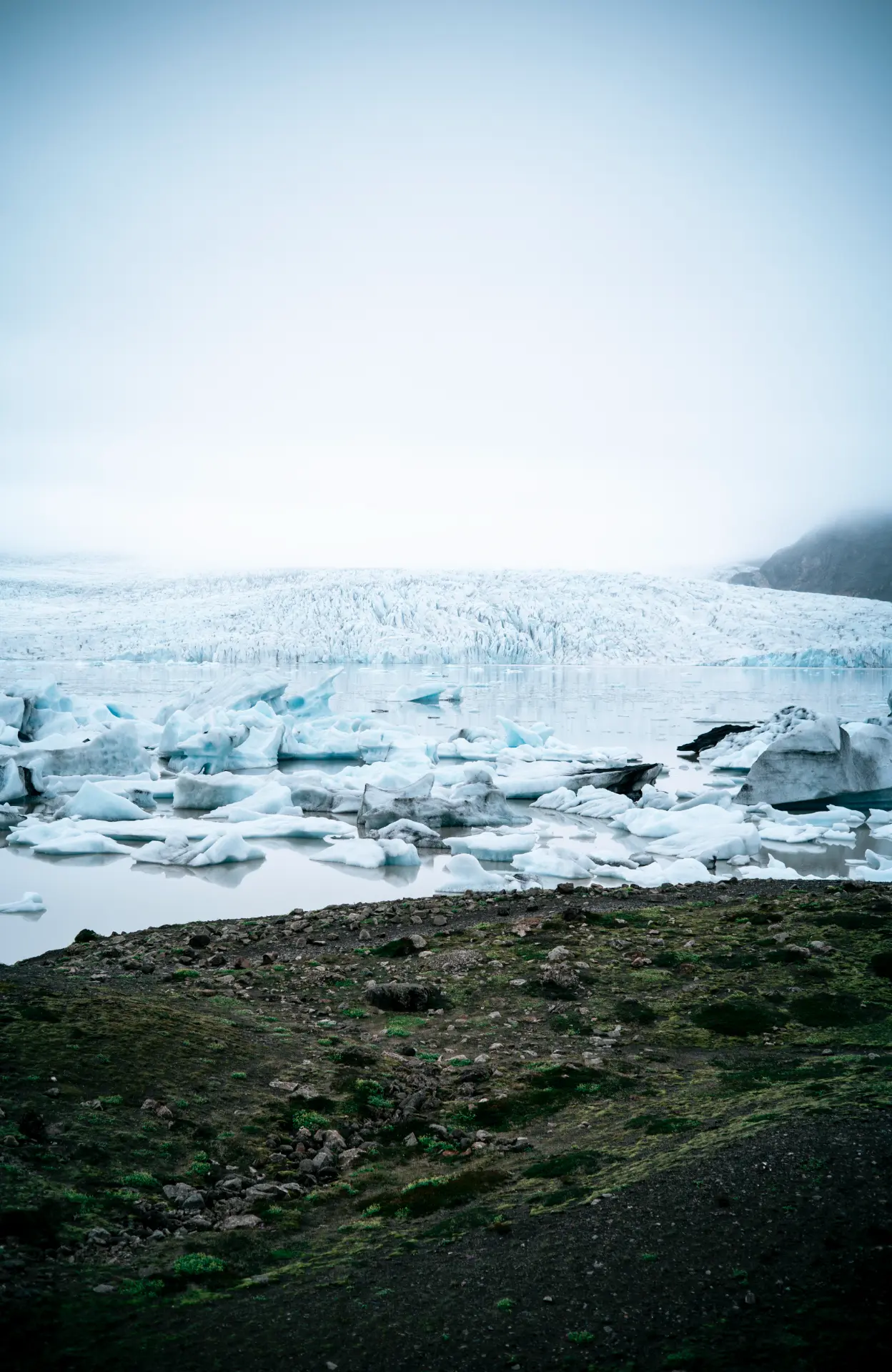 Glacier lagoon with ice floes and mossy shore