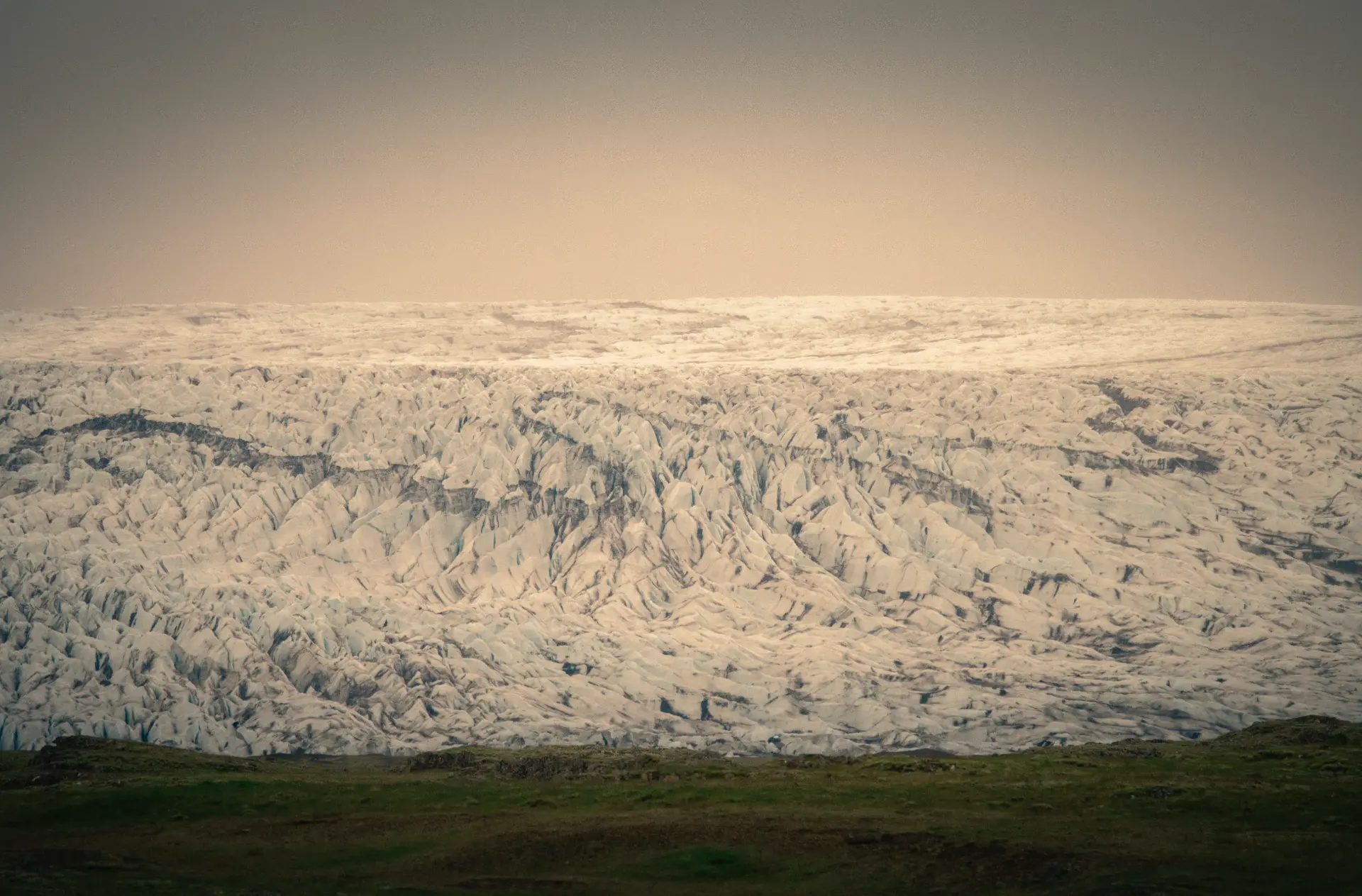 Vast glacier wall above green moss