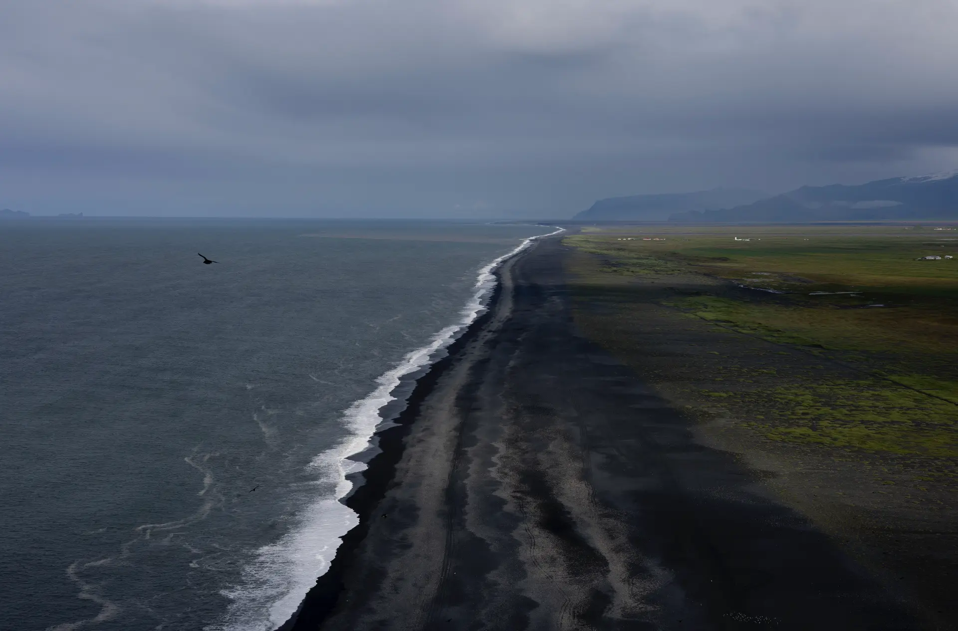 Bird gliding over a black sand beach under storm clouds