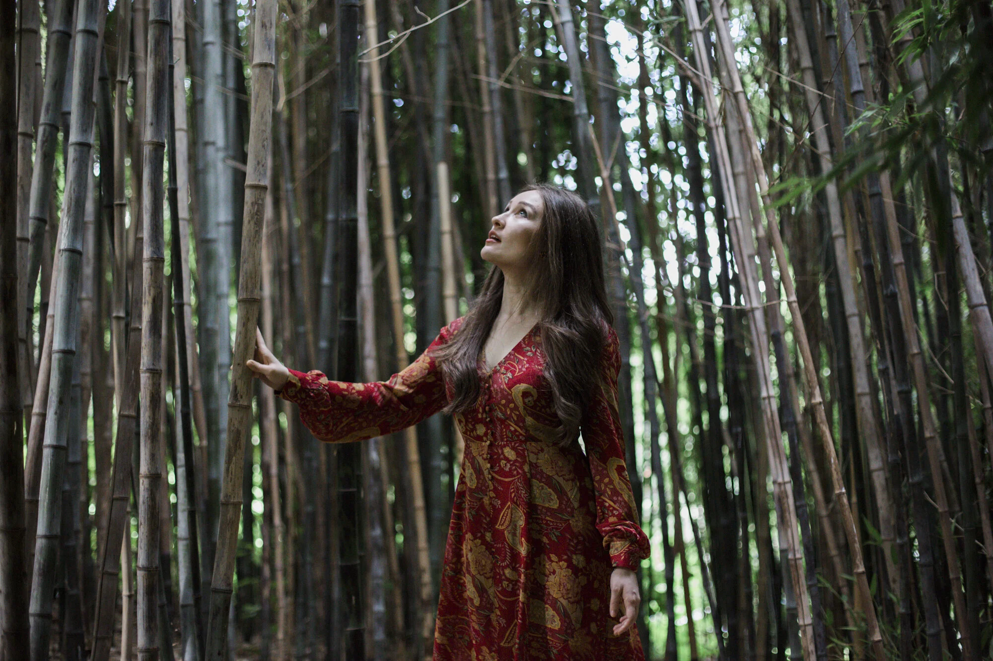 Woman in a red floral dress looking up in a bamboo grove